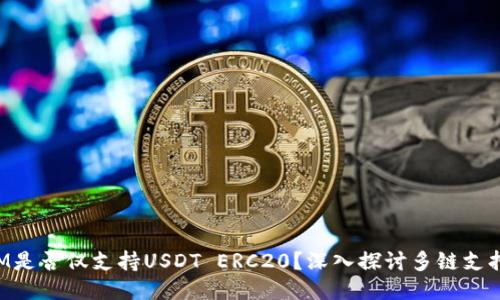 TokenIM是否仅支持USDT ERC20？深入探讨多链支持的现状