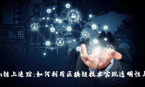 Tokenim链上追踪：如何利用区块链技术实现透明性与安全性
