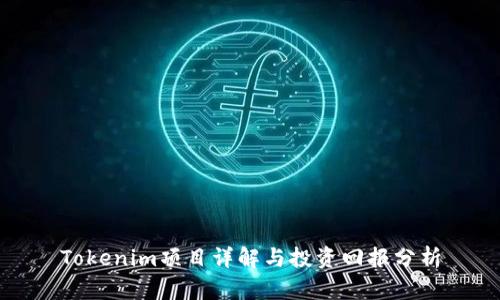 Tokenim项目详解与投资回报分析