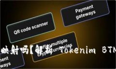 Tokenim BTM 需要映射吗？解析 Tokenim BTM 的映射机制