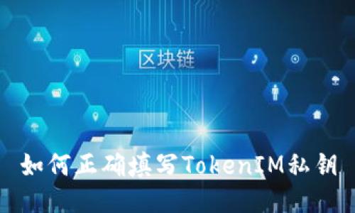 如何正确填写TokenIM私钥