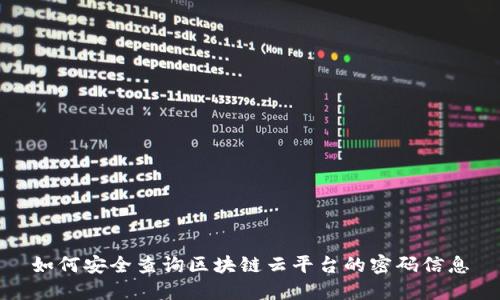 如何安全查询区块链云平台的密码信息
