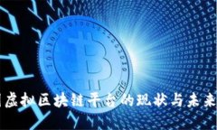 韩国虚拟区块链平台的现状与未来展望