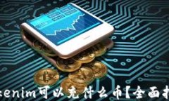 Tokenim可以充什么币？全面指南