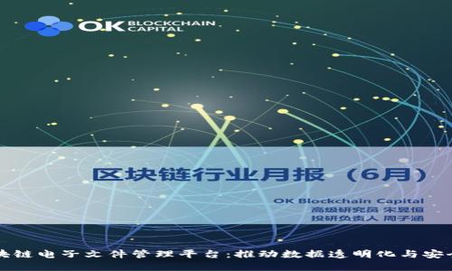 区块链电子文件管理平台：推动数据透明化与安全性