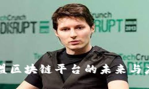 联盟区块链平台的未来与应用