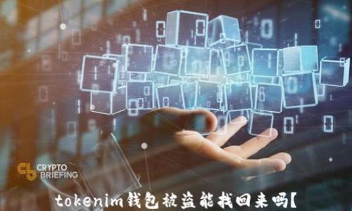 
tokenim钱包被盗能找回来吗？