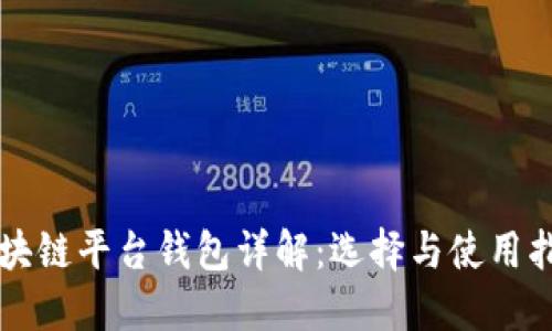 区块链平台钱包详解：选择与使用指南