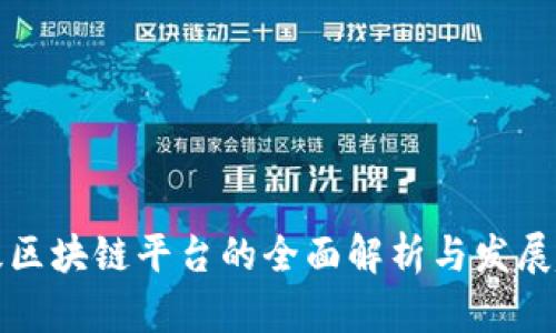 省级区块链平台的全面解析与发展趋势