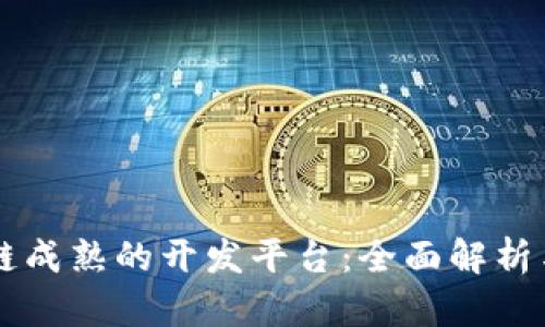 区块链成熟的开发平台：全面解析与推荐