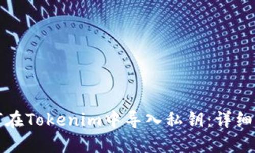 如何在Tokenim中导入私钥：详细指南
