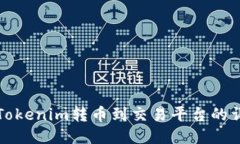 如何将Tokenim转币到交易平台的详细指南