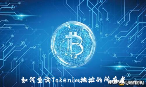   
如何查询Tokenim地址的所有者