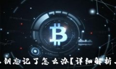  Tokenim私钥忘记了怎么办？详细解析与解决方案