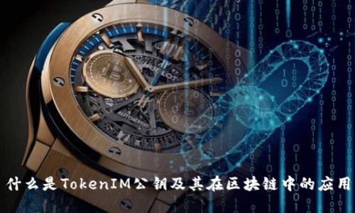 什么是TokenIM公钥及其在区块链中的应用