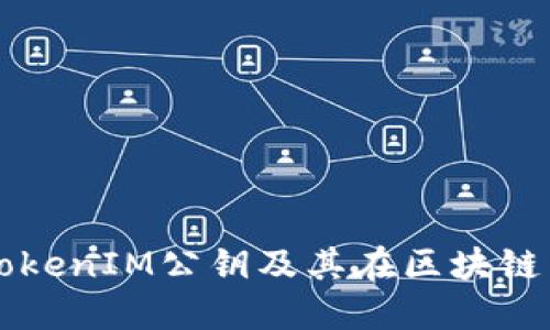什么是TokenIM公钥及其在区块链中的应用