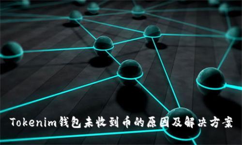 Tokenim钱包未收到币的原因及解决方案