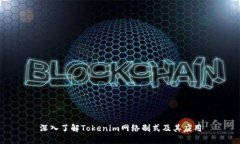 深入了解Tokenim网络制式及其应用