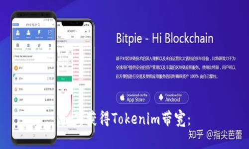 如何获得Tokenim带宽：