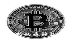 Tokenim支持的币种及其特点解析