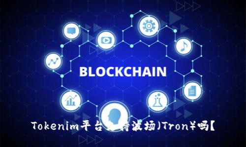 Tokenim平台支持波场（Tron）吗？