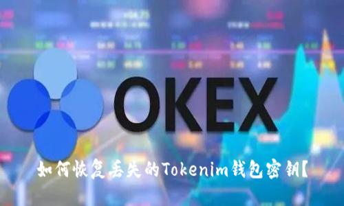 如何恢复丢失的Tokenim钱包密钥？
