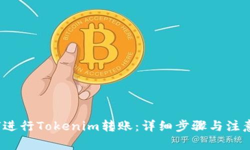  如何进行Tokenim转账：详细步骤与注意事项