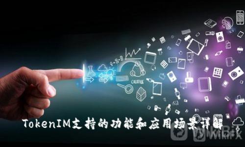 TokenIM支持的功能和应用场景详解