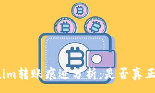 :
Tokenim转账痕迹分析：是否真正匿名？