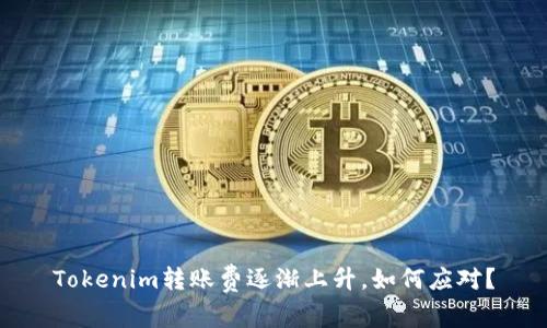 Tokenim转账费逐渐上升，如何应对？