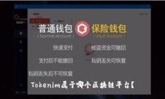 Tokenim属于哪个区块链平台？