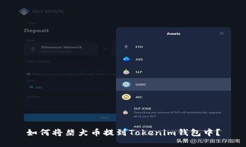 如何将柴犬币提到Tokenim钱包中？