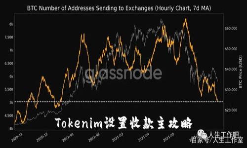 Tokenim设置收款主攻略
