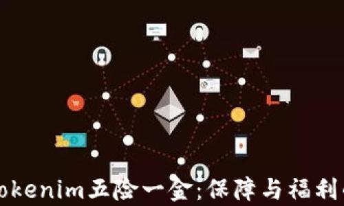 
深入解析Tokenim五险一金：保障与福利的全面解读