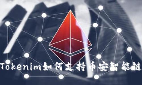Tokenim如何支持币安智能链