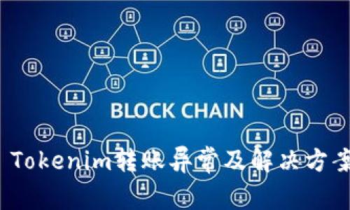  Tokenim转账异常及解决方案