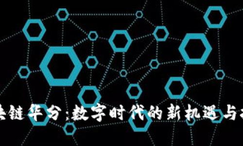 区块链华分：数字时代的新机遇与挑战