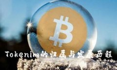Tokenim的归属与发展历程