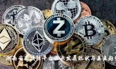 :  湖南省区块链平台企业发展现状与未来趋势