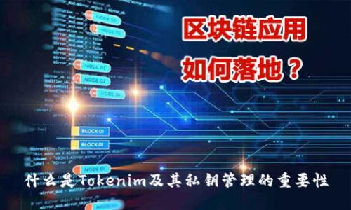 什么是Tokenim及其私钥管理的重要性