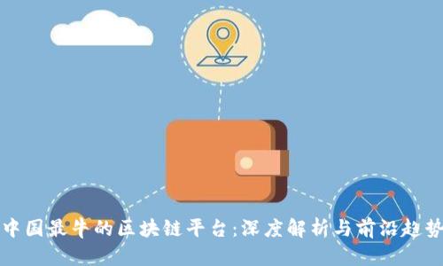 中国最牛的区块链平台：深度解析与前沿趋势