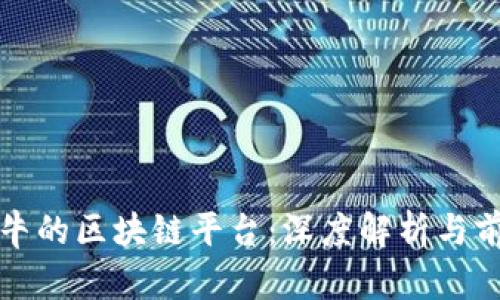 中国最牛的区块链平台：深度解析与前沿趋势