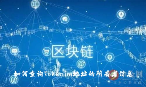 如何查询Tokenim地址的所有者信息