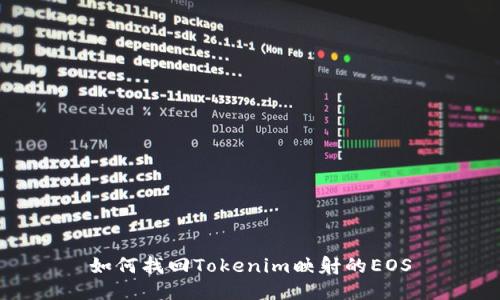 如何找回Tokenim映射的EOS