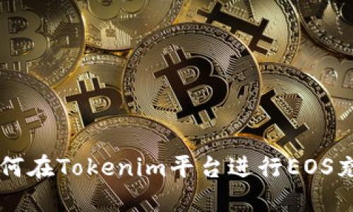 如何在Tokenim平台进行EOS充币