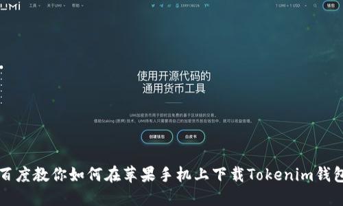 百度教你如何在苹果手机上下载Tokenim钱包