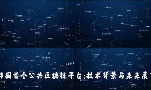 韩国首个公共区块链平台：技术背景与未来展望