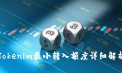 Tokenim最小转入额度详细解析