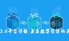 区块链3.0平台详解：未来数字经济的关键技术