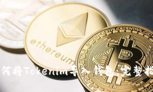 如何将Tokenim导入钱包：完整指南